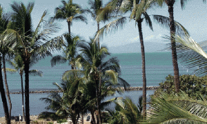 menehuneshores_559254
